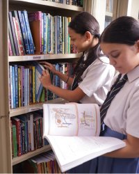 icon of Library